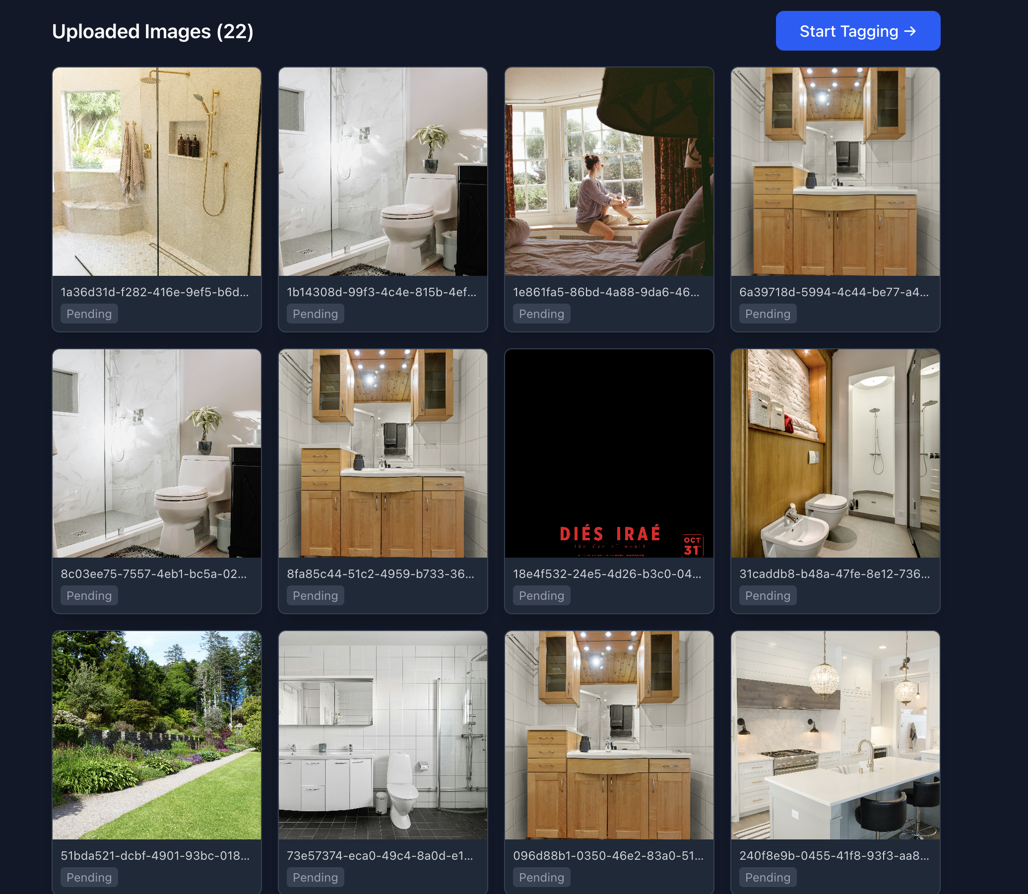 Uploaded images grid with 22 images pending tagging